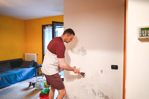 Best Fast Mold Removal  in South Wenatchee, WA